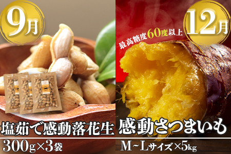 【定期便・年4回】農家の感動シリーズB (約16.4kg) FR-306｜冷凍焼き芋 ゴールドラッシュ 塩茹で落花生  紅はるか  野菜定期便