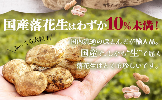 【先行予約】食べ応え抜群の大粒落花生「おおまさり」500g袋×３袋≪数量限定≫ FR-312｜鹿児島県産 野菜 やさい 食品 人気 おすすめ 送料無料 落花生 おおまさり 産地直送 新鮮 南大隅町