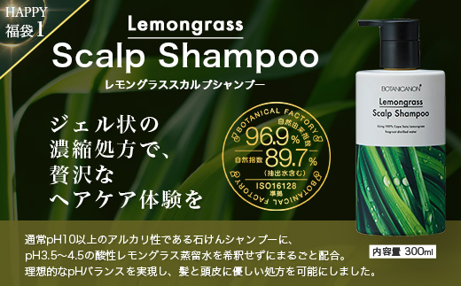 【HAPPY福袋】泡・ソープセット（４種）BF-13-FB｜ボディソープ スキンケア ソープ シャンプー トリートメント ヘアケア 福袋 セット ボタニカノン BOTANICANON ケミカルフリー 鹿児島県 南大隅町 ボタニカルファクトリー