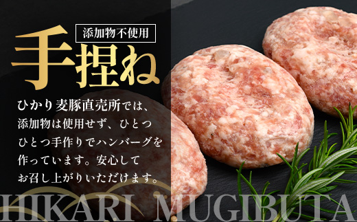 鹿児島県産 ひかり麦豚 手捏ねハンバーグ セット サイズ違い 大中小 ≪合計22個≫  HM-705 | 肉 お肉 にく 豚肉 絶品 ハンバーグ 添加物不使用 肉汁 ジューシー おかず お弁当 ロコモコ 冷凍 産地直送 小分け 鹿児島県 南大隅町 ひかり麦豚直売所