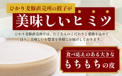 鹿児島県産 ひかり麦豚 ＼＼ちょっと大きな  餃子 42個セット／／ HM-707 | ぎょうざ ギョウザ 食べ応え抜群 焼き餃子 水餃子 おかず お弁当 冷凍 産地直送 鹿児島県 南大隅町 ひかり麦豚直売所