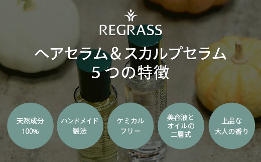 【天然由来成分100％】二層式ヘアセラム&スカルプセラムのセット 50ml 2本 BS-707 ｜鹿児島県 南大隅町 オイル スカルプセラム ヘアケア お手入れ セット 株式会社ベースシー