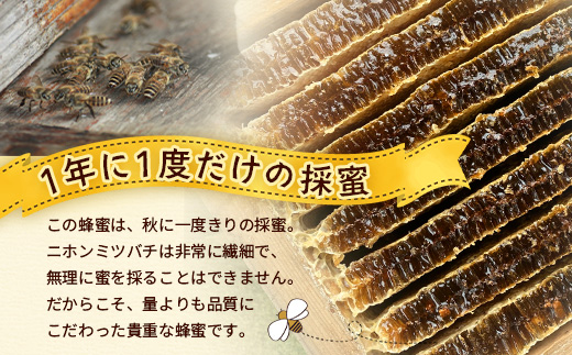 蜂蜜 百花はちみつ 580g《数量限定》【日本みつばち】 TU-001 | 国産 はちみつ ハチミツ 蜂蜜 ハニー 百花蜜 百花はちみつ 天然 非加熱 産地直送 鹿児島県 南大隅町 椿山ファーム