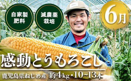 【定期便・年4回】農家の感動シリーズA(約9.1kg) FR-1｜冷凍焼き芋 ゴールドラッシュ とうもろこし 塩茹で 落花生 おおまさり ピーナッツ 芋 さつまいも 紅はるか 野菜定期便 旬 産地直送 サラダ 南大隅町
