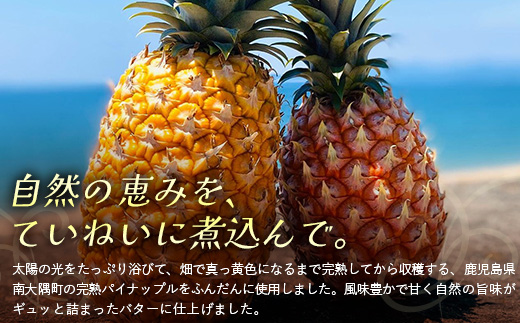 絶品！南大隅町産 【パイナップルバター】約160g× 2瓶 HB-3 ｜パイナップル バター フルーツ ジャム 加工品 スプレッド 国産 南国フルーツ 手作り 鹿児島県 南大隅町 hello! brand new days　