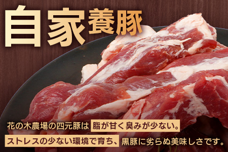 花の木農場 鹿児島県産 豚スペアリブ 約1kg（500g×2パック）HK-17｜ 豚肉 精肉 冷凍 国産 お肉 スペアリブ BBQ 煮込み 農福連携 鹿児島県 南大隅町 第2花の木ファーム