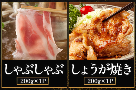 鹿児島県産 ☆＼＼ ひかり麦豚 バラエティーセット ／／☆ しゃぶ肉/ロース肉/バラ肉/ハンバーグ/メンチカツ/餃子 HM-13 | 肉 お肉 にく 豚肉 ロース 衣付き 真空冷凍 新鮮 小分け 産地直送 鹿児島県 南大隅町