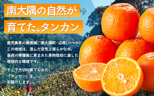 【訳あり】《先行予約》南大隅の太陽浴びた甘くて・おいしい タンカン 約5kg【数量限定】<2026年2月中旬以降順次発送> ID-3｜訳あり 訳アリ たんかん タンカン 柑橘 カンキツ 柑橘類 詰め合わせ 産地直送 先行予約 おすすめ 人気 南大隅町