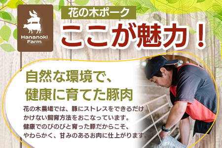 花の木農場【人気惣菜セット】３種 HK-504｜惣菜 餃子 ぎょうざ 冷凍 ハンバーグ ハムコロッケ コロッケ 冷凍 工場直送 簡単調理 国産 厳選 ノウフク 鹿児島県 南大隅町 第2花の木ファーム