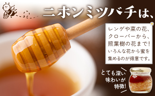 【お歳暮】はちみつ 蜂蜜 3種 セット（100g×3個）31 Honey《数量限定》 MM-1-os ｜国産 はちみつ ハチミツ 蜂蜜 養蜂 ハニー 百花蜜 百花はちみつ 日本みつばち 天然 非加熱 産地直送 鹿児島県 南大隅町 南大隅町日本みつばち研究会 お歳暮