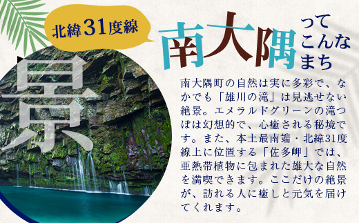 【返礼品なしの寄附】鹿児島県南大隅町 1口:30万円 MN-15│鹿児島県 南大隅町 寄付 寄附 応援 支援 応援寄付金 支援寄付金 寄付のみ 返礼品なし 返礼品なしの寄付 300,000円 