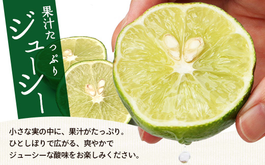 辺塚だいだい 約4kg NK-2｜果物 柑橘 辺塚だいだい へつか 産地直送 詰め合わせ 4kg 国産 新鮮 おすすめ 人気 南大隅町