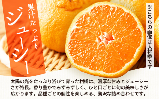 【数量限定】おたのしみ！旬の柑橘詰め合わせセット(４種約５kg) NK-4 ≪2026年1月中旬より準備が出来次第発送≫｜果物 柑橘 大将季 ぽんかん スイートスプリング 津之輝 麗江 サワーポメロ 南大隅町 産地直送 詰め合わせ 5kg 国産 数量限定 