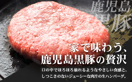 鹿児島県産 黒豚生ハンバーグセット（8個入）冷凍 NS-12 | 肉 お肉 豚肉 豚 にく ぶた かごしま黒豚 ハンバーグ おかず ジューシー 小分け ギフト おかず お弁当 国産 鹿児島県 南大隅町 南州農場