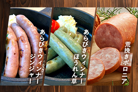 鹿児島県産 BBQ-BOXⅠ ハム ソーセージ ベーコン 詰め合わせ セット NS-24 | かごしま 黒豚 生ハム ボロニア ウインナー ソース ジャーキー おつまみ バーベキュー 焼き肉 低添加製法 冷蔵 鹿児島県 南大隅町 南州農場