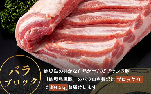 ［新春］≪全3回≫【南大隅町限定】食べ応え満点！ ★ かごしま黒豚 ブロック肉 定期便 ★ 鹿児島県産 NS-26 ｜ 肉 豚肉 ぶた 豚 ブタ 黒豚 鹿児島黒豚 ロース ブロック バラ 肩ロース バラブロック 肩ロースブロック ファミリー 業務用 産地直送 限定 鹿児島県 南大隅町 南州農場