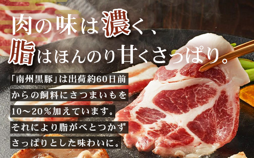 かごしま黒豚５種 贅沢盛り合わせ ( 約1kg ) NS-34 | 豚肉 ぶた セット ５種 冷凍 詰め合わせ 肩ロース ロース バラ もも ももスライス 赤身 脂身 薄切り 部位 焼肉 しゃぶしゃぶ 生姜焼き 家庭料理 炒め物 南大隅町 南州農場