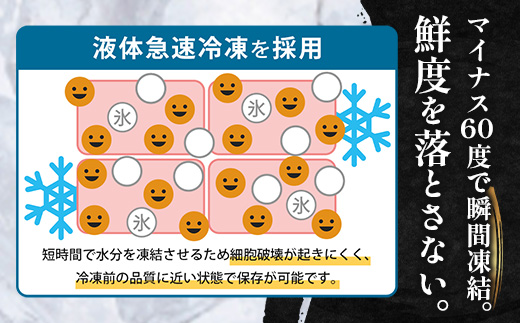 鹿児島県産 アジ 干物 大サイズ (2枚×2パック)  ≪合計4枚≫［1枚 約22～25センチ］PT-2 | 開き 大隅干し 冷凍 国産 鯵 ひもの 海鮮 新鮮 瞬間冷凍 産地直送 鹿児島県 南大隅町 ピットスリー