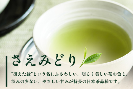 国産 自然栽培 ナナ茶 さえみどり ティーバッグ （2g×15包）×2パック RS-5｜お茶 茶 茶葉 お茶の葉 日本茶 鹿児島茶 おしゃれ ブレンド茶 ケルセチン 無農薬 化学肥料不使用 ティーパック 鹿児島県 南大隅町 株式会社Re-Shine