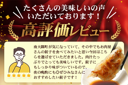 《リピーター続出！》佐多の田中肉屋 ニンニクたっぷりやみつき餃子 180個（12個入×15P） 餃子のタレ2本付き TA-1 | ぎょうざ 餃子 ギョウザ 豚肉 ひき肉 にんにく スタミナ餃子 焼くだけ 簡単 小分け 大容量 手作り お惣菜 おかず 冷凍 鹿児島県 南大隅町 田中精肉店