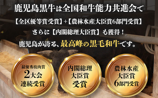 【お歳暮】【鹿児島黒牛】すき焼きセット２種600g W7502-os |鹿児島 牛 うし カタロース ウデ うで スライス国産 九州産 牛肉 黒牛 黒毛和牛 和牛 すき焼き 冷凍 産地直送 絶品 ごちそう 贈り物 お歳暮
