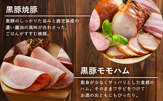鹿児島県産 黒豚バラエティセットC 約750g (鹿児島黒豚焼豚200g・鹿児島黒豚モモハム200g・黒豚モモハムパストラミ200g・黒豚フランクフルト×150g) NS-511 | 肉 お肉 豚肉 豚 にく ぶた かごしま黒豚  ソーセージ チャーハン ポトフ スープ おつまみ 野菜炒め 冷蔵 鹿児島県 南大隅町 南州農場