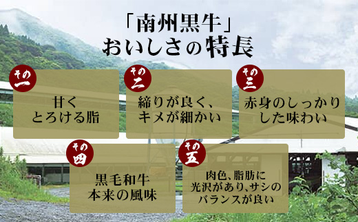 鹿児島県産 南州黒牛 霜降りロースステーキ 約600g （300g×2枚） 牛ロース肉 オリジナルブランド牛 NS-514 | 国産 黒毛和牛 牛 うし 牛肉 ロース サシ やわらかい 冷凍 ステーキ 鹿児島県 南大隅町 南州農場