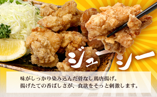 佐多の田中肉屋 スペシャルパック（餃子・コロッケ・味付唐揚げ）冷凍便 TA-405 | 国産 お惣菜 手作り 餃子 ギョーザ やみつき ニンニク から揚げ 若鶏唐揚げ 鶏肉 揚げるだけ コロッケ 大容量 おかず 弁当 おつまみ 保存料不使用 簡単調理 産地直送 鹿児島県 南大隅町 田中精肉店 