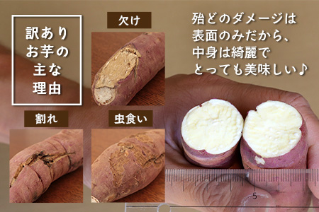 【訳あり】【先行予約・2025年11月下旬より順次発送】鹿児島県産 熟成 紅はるか 5kg (1箱 ) Sサイズ (おすそ分け袋／美味しい焼き芋の焼き方 説明書付き） FR-217 | さつまいも サツマイモ 焼き芋 べにはるか おやつ 煮物 芋ごはん 味噌汁 鹿児島県 南大隅町 株式会社フォレスト 訳あり