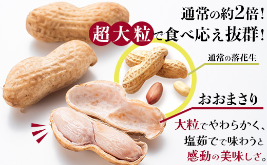 【先行予約】食べ応え抜群の大粒落花生「おおまさり」500g袋×８袋≪数量限定≫ FR-314｜鹿児島県産 野菜 やさい 食品 人気 おすすめ 送料無料 落花生 おおまさり 産地直送 新鮮 南大隅町