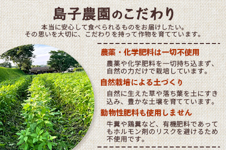 自然栽培で育てた ノンカフェインの菊芋コーヒー【２袋】SK-405｜コーヒー 菊芋 ノンカフェイン 野菜茶 きくいも お茶 焙煎 ギフト グルメ お取り寄せ 南大隅｜