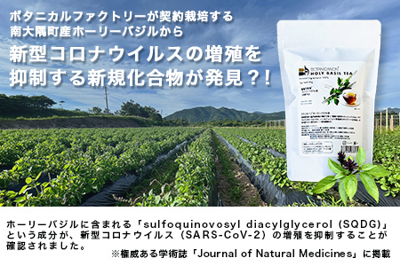 ホーリーバジル茶（30g×1個） BF-8｜ホーリーバジル 茶 ハーブティー リラックス ボタニカノン BOTANICANON ケミカルフリー 鹿児島県 南大隅町 ボタニカルファクトリー