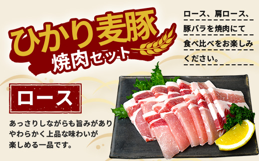 鹿児島県産 ひかり麦豚 焼肉 食べ比べ セット 600g（300g×2パック）＋ 楽塩の粗びき塩こしょう HM-703 | 肉 お肉 にく 豚肉 ロース 肩ロース バラ肉 スライス 粗挽き 塩コショウ 冷凍 真空冷凍 産地直送 新鮮 小分け 甘み 鹿児島県 南大隅町 ひかり麦豚直売所
