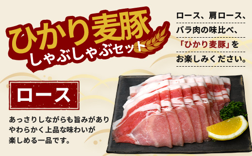 鹿児島県産 ひかり麦豚 しゃぶしゃぶ 焼肉 セット (300g×3パック) ≪計900g≫ ＋ 楽塩の粗びき塩こしょう HM-704 | 肉 お肉 にく 豚肉 ロース 肩ロース バラ肉 スライス 粗挽き 塩コショウ 冷凍 真空冷凍 産地直送 新鮮 小分け 甘み 鹿児島県 南大隅町 ひかり麦豚直売所
