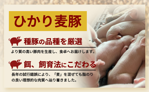 鹿児島県産 ひかり麦豚 手捏ねハンバーグ セット サイズ違い 大中小 ≪合計22個≫  HM-705 | 肉 お肉 にく 豚肉 絶品 ハンバーグ 添加物不使用 肉汁 ジューシー おかず お弁当 ロコモコ 冷凍 産地直送 小分け 鹿児島県 南大隅町 ひかり麦豚直売所