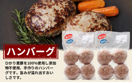 鹿児島県産 ひかり麦豚 ≪手作り惣菜セット≫ ハンバーグ(4個×2P) / メンチカツ(4個×2P) / とんかつ(3枚×1P) HM-706  | 肉 お肉 にく 豚肉 焼くだけ 揚げるだけ おかず お弁当 冷凍 パック 産地直送 小分け 鹿児島県 南大隅町