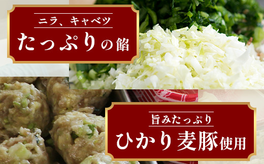 鹿児島県産 ひかり麦豚 ＼＼ちょっと大きな  餃子 42個セット／／ HM-707 | ぎょうざ ギョウザ 食べ応え抜群 焼き餃子 水餃子 おかず お弁当 冷凍 産地直送 鹿児島県 南大隅町 ひかり麦豚直売所
