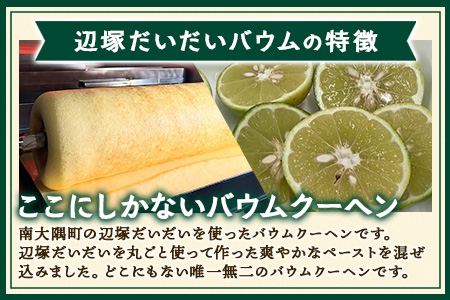 バウムクーヘン  ≪極≫ 辺塚だいだい 直径約15cm SH-713 │ バウムクーヘン バームクーヘン スイーツ ケーキ 焼き菓子 洋菓子 お菓子 おかし おやつ デザート プレゼント 贈り物 ギフト 常温 鹿児島県 南大隅町 31℃LINE花子