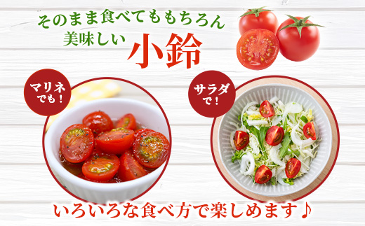 田淵さんちの美味しいミニトマト 小鈴約2kg（1.0kg×2箱） GP-709| 野菜 トマト ミニトマト 産地直送 ミニトマト 新鮮 トマト 南大隅町産 ミニトマト おいしい  ミニトマト