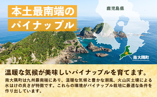 【先行予約・数量限定！】国産パイナップル　約3ｋg（3～5玉）～なか農園おまかせセット～ NK-001 ｜パイナップル パイン フルーツ 果物 くだもの 先行予約 数量限定 産地直送 新鮮 旬 ハワイ種 ピーチパイン ゴールドダイヤモンド ボゴール なか農園 鹿児島県 南大隅 