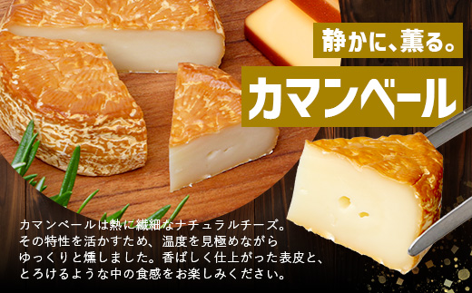 スモークチーズ 3種 セット 約480g（プレーン180g・チェダー180g・カマンベール120g）TM-002 | チーズ 詰め合わせ おつまみ 燻製 冷蔵 チェダーチーズ カマンベールチーズ プロセスチーズ 手作り