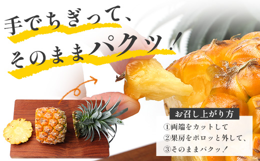 【先行受付】パイナップル/ボゴール種 (約800g×2玉) ≪2026年7月下旬以降順次発送≫ DS-004 ｜パイン パイナップル パインアップル フルーツ ボゴールパイン スナックパイン 産地直送 送料無料 鹿児島県 南大隅町 株式会社デラセーラ