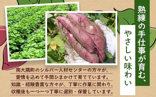 【定期便全12回】本土最南端紅はるか 冷凍 やきいも 定期便 2kg ( 1kg×2袋 )×12回 合計24kg