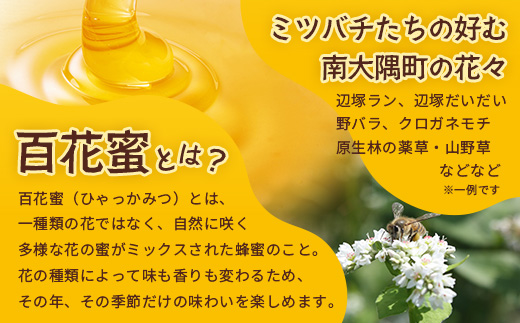 蜂蜜 百花はちみつ 580g《数量限定》【日本みつばち】 TU-001 | 国産 はちみつ ハチミツ 蜂蜜 ハニー 百花蜜 百花はちみつ 天然 非加熱 産地直送 鹿児島県 南大隅町 椿山ファーム