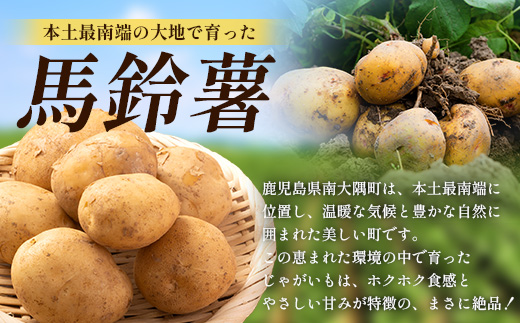 【先行予約】【B級品】(割れ) じゃがいも 馬鈴薯 (バレイショ) ≪2L～L≫ 約10kg×1箱 /ニシユタカ (約30個) ≪2026年3月20日頃より順次発送≫ CS-2 |  家庭用 南大隅町産 産地直送 旬 ポテト ジャガイモ ばれいしょ 新じゃが 春じゃが 春作 国産 鹿児島県 南大隅町 地域商社推進機構