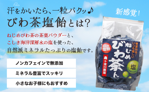 【お歳暮】【鹿児島県産】ねじめびわ茶 飲み比べ セット + びわ茶塩飴付き(化粧箱入) TO-406-os|ねじめびわ茶 ノンカフェイン ティーバック ボトル缶 飴 国産 お茶 健康茶 ポリフェノール 無香料 無着色 さわやか 甘み 香ばしい おいしい びわの葉 トルマリン石焙煎 産地直送 鹿児島県 南大隅町 十津川農場 お歳暮