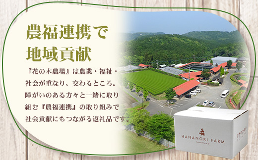 《全3回定期便》<2ヶ月に１回お届け> 花の木農場【ハム詰め合わせセット】7種 計1,000g HK-18│定期便 ハム ベーコン クラフトハム 人気 南大隅町 第2花の木ファーム ノウフク ソーセージ 詰め合わせ セット ウインナー 国産 厳選