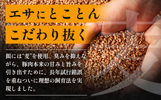 【定期便全3回】ひかり麦豚 わんぱく定期便 ≪月替わりで焼肉・ハンバーグ・餃子をお届け！≫ 冷凍 HM-10 | 肉 お肉 にく 豚肉 焼き肉 ロース肉 肩ロース バラ肉 ハンバーグ ギョウザ ぎょうざ 真空冷凍 産地直送 小分け パック 手作り 鹿児島県 南大隅町 ひかり麦豚直売所