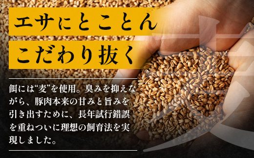 ［新春］【定期便全3回】ひかり麦豚定期便 ≪月替わりで楽しむ豚肉セット！しゃぶしゃぶ・ロース肉・焼肉セットをお届け！≫ 冷凍 HM-18 | 肉 お肉 にく 豚肉 精肉 焼き肉 焼肉 やきにく バーベキュー ロース肉 肩ロース バラ肉 生姜焼き とんかつ しゃぶしゃぶ 真空冷凍 産地直送 小分け パック 手作り 鹿児島県 南大隅町 ひかり麦豚直売所