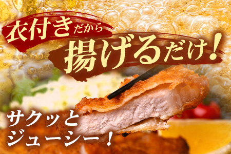 鹿児島県産 ＼＼ ひかり麦豚 ヒレかつ 計約1㎏ ／／ ≪200g×5パック≫ 衣つき トレーなし 冷凍 HM-7 | 肉 お肉 にく 豚肉 ヒレ肉 トンカツ 冷凍 解凍して揚げるだけ 加工品 真空冷凍 新鮮 小分け 産地直送 鹿児島県 南大隅町 ひかり麦豚直売所